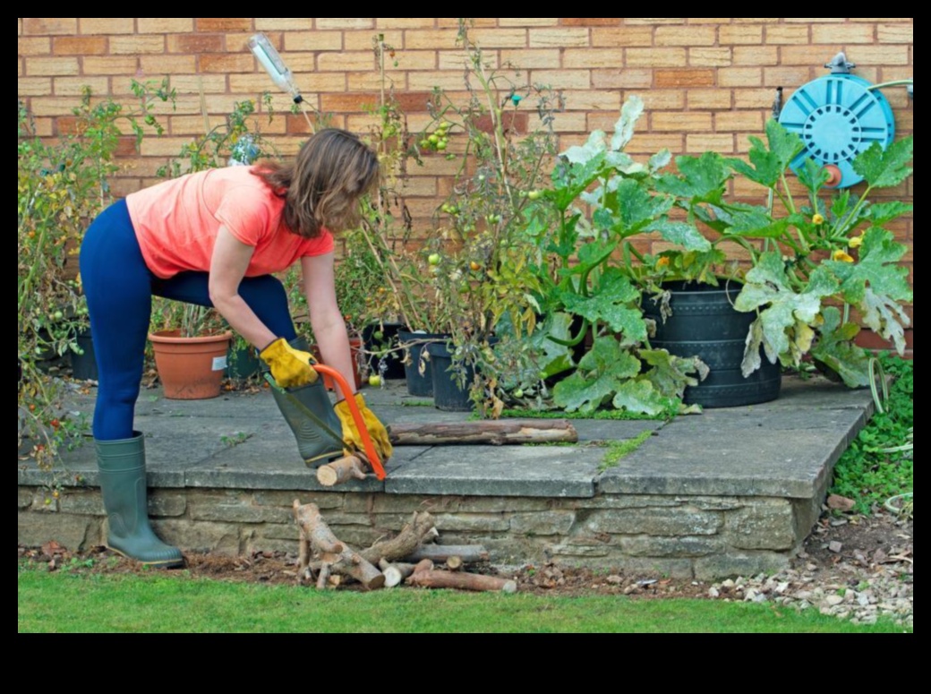 מושרשת ב-Radiance: כלי גינה חיוניים ל-Triumph