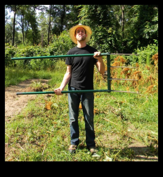 מושרשת ב-Radiance: כלי גינה חיוניים ל-Triumph