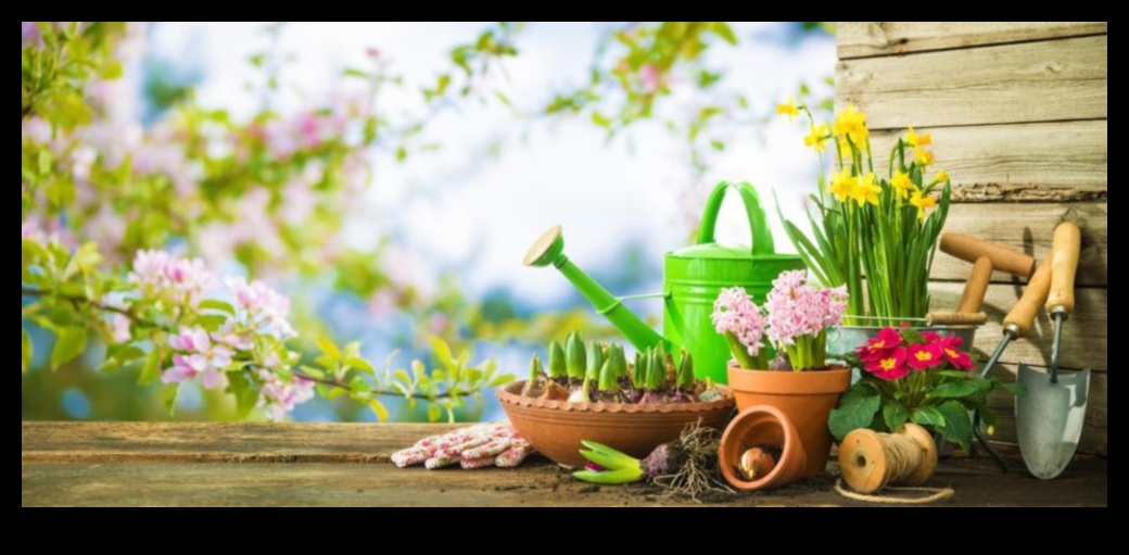 מושרשת ב-Radiance: כלי גינה חיוניים ל-Triumph