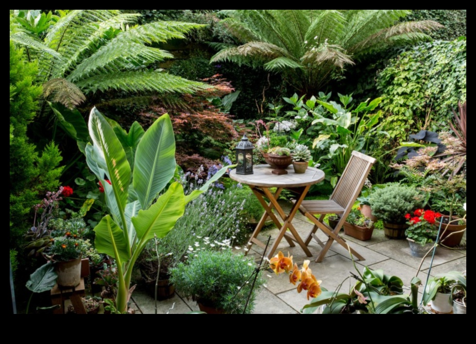 גינות בגודל חצי ליטר: גינון עירוני במרחבים זעירים