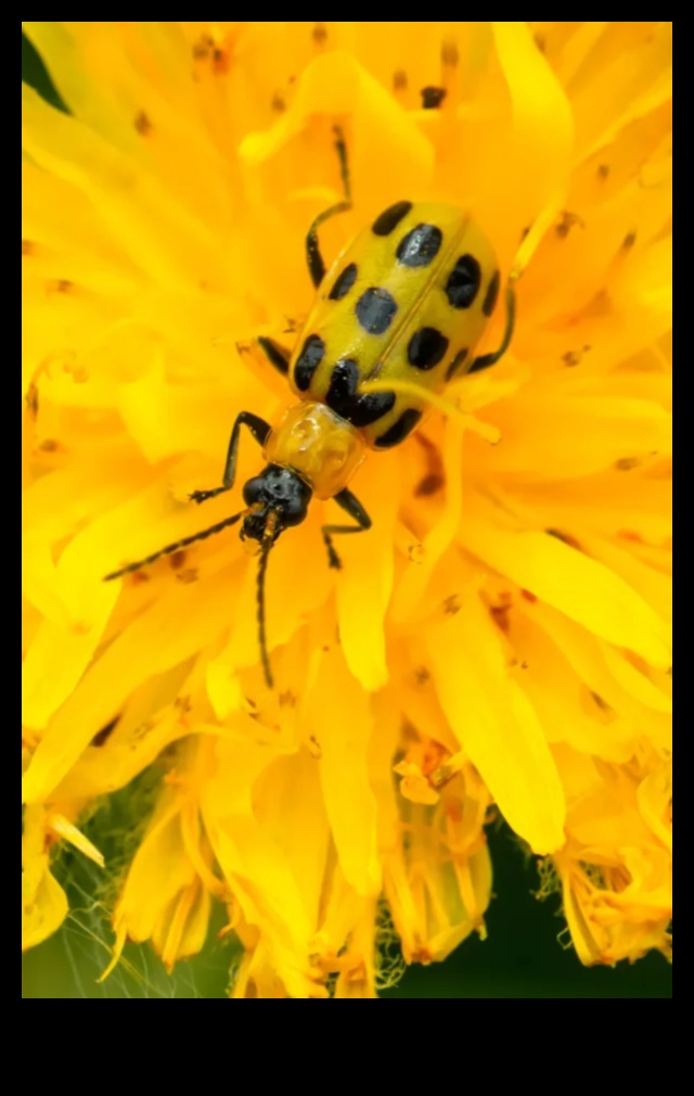 קרב פריחה איך לנצח נגד מזיקים בעייתיים בגינה 3 קרב פריחה: מנצחים נגד מזיקים בגינה