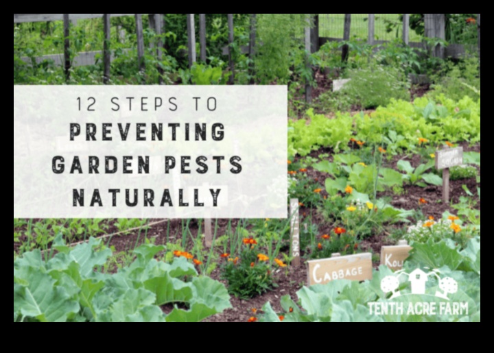 קרב פריחה איך לנצח נגד מזיקים בעייתיים בגינה 5 קרב פריחה: מנצחים נגד מזיקים בגינה