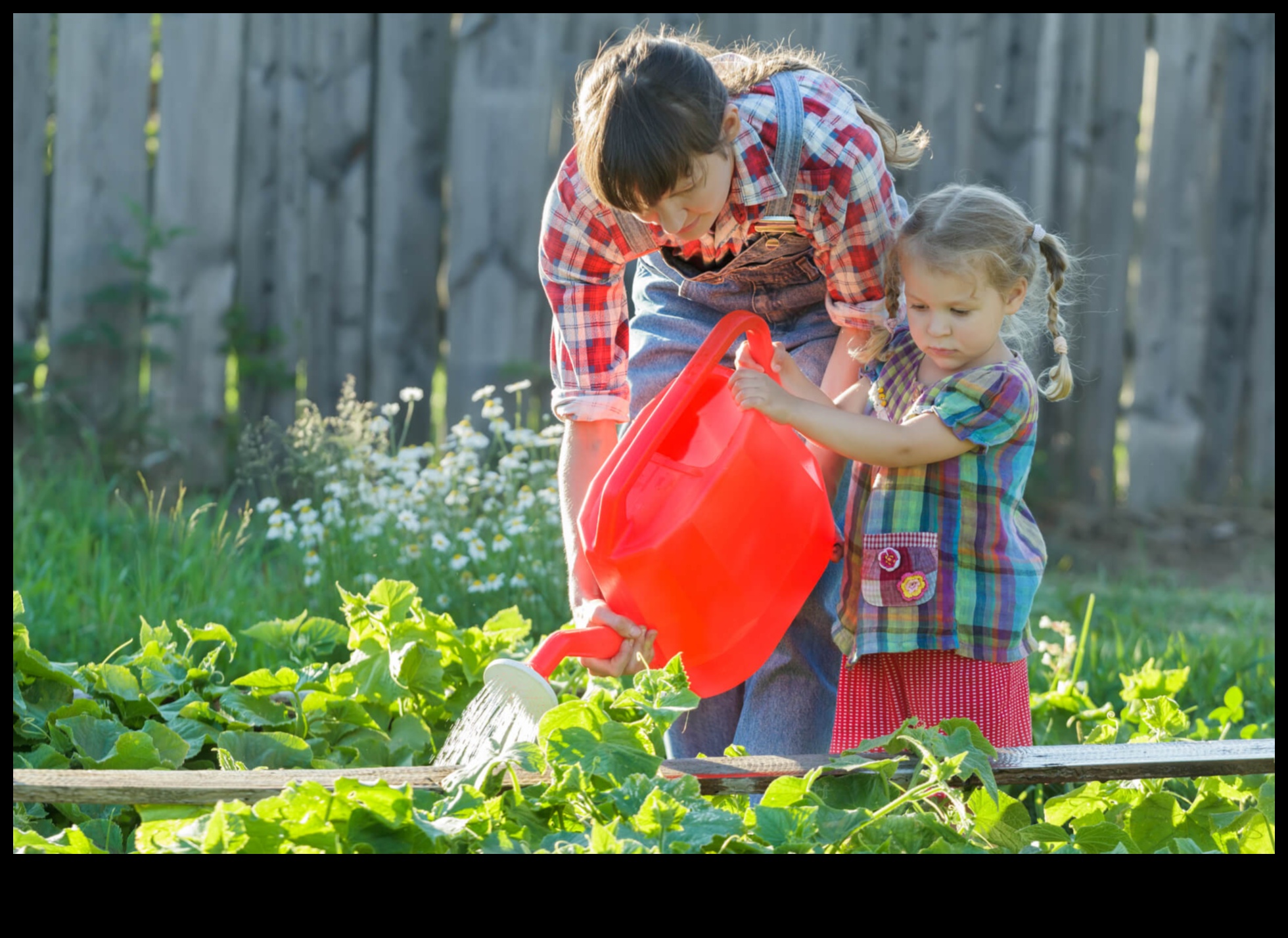 מלחמת מזיקים: הגן על פאר הגינה שלך