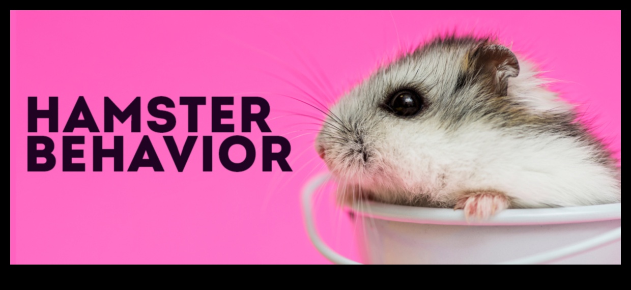 תובנות התנהגות אוגרים: רמזים וביטויים קריאה