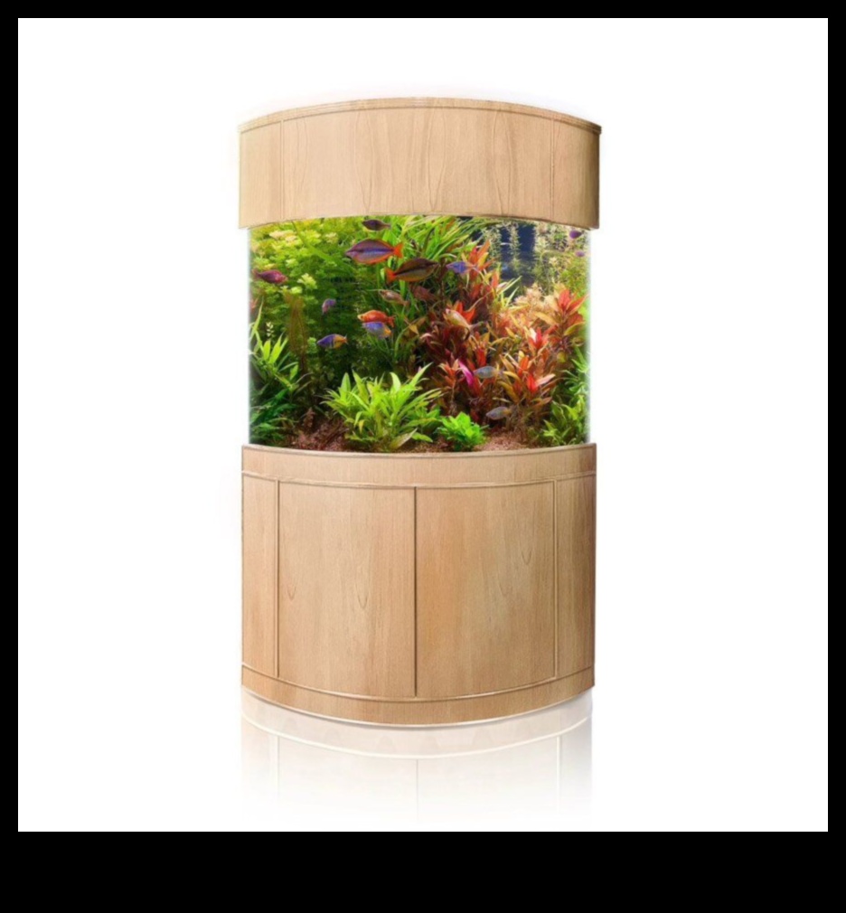 גומחת אקווה אקססוריז: יצירת פינה שיקית בדגים שלך