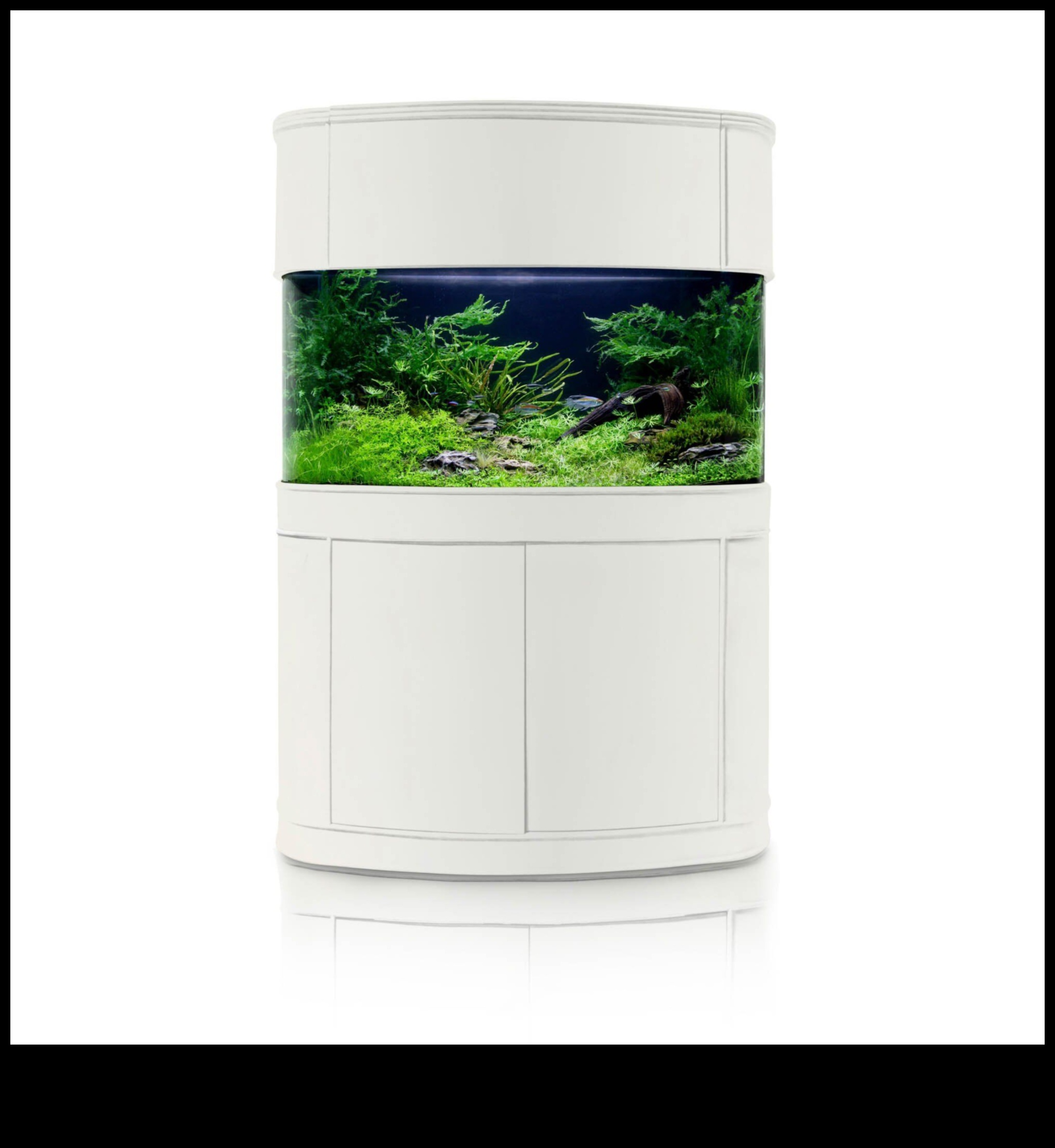 גומחת אקווה אקססוריז: יצירת פינה שיקית בדגים שלך