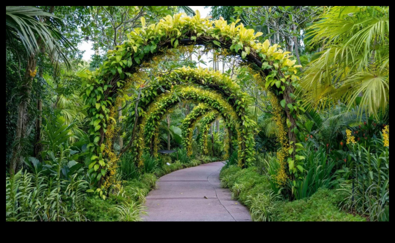 אושר בוטני: פלאי עיצוב גינות נחשפו