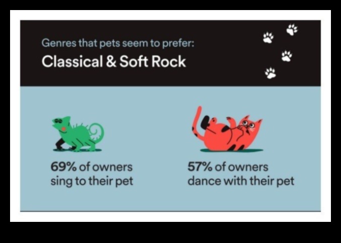 מנגינות שכשוך בזנב: יצירת רשימת השמעה עבור הכלב שלך