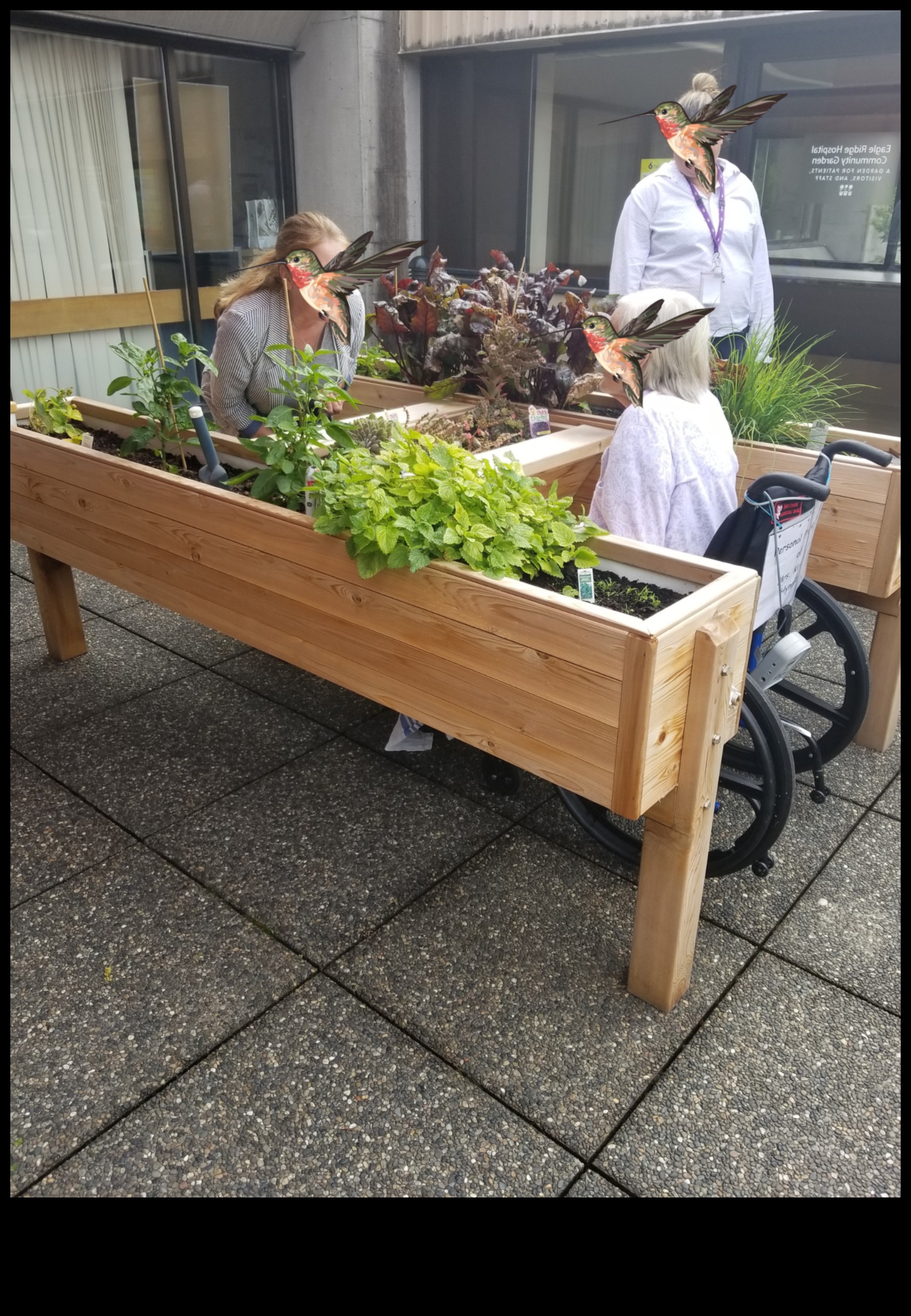 הרמוניה בגינה השגת יופי ויעילות בטיפוח הגן 3 הרמוניית גן: איזון בין יופי ויעילות בטיפול