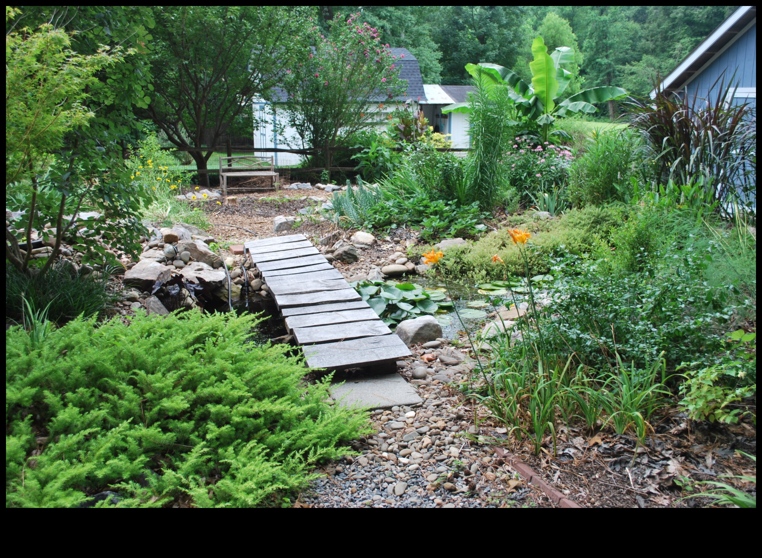 הרמוניה בגינה השגת יופי ויעילות בטיפוח הגן 5 הרמוניית גן: איזון בין יופי ויעילות בטיפול