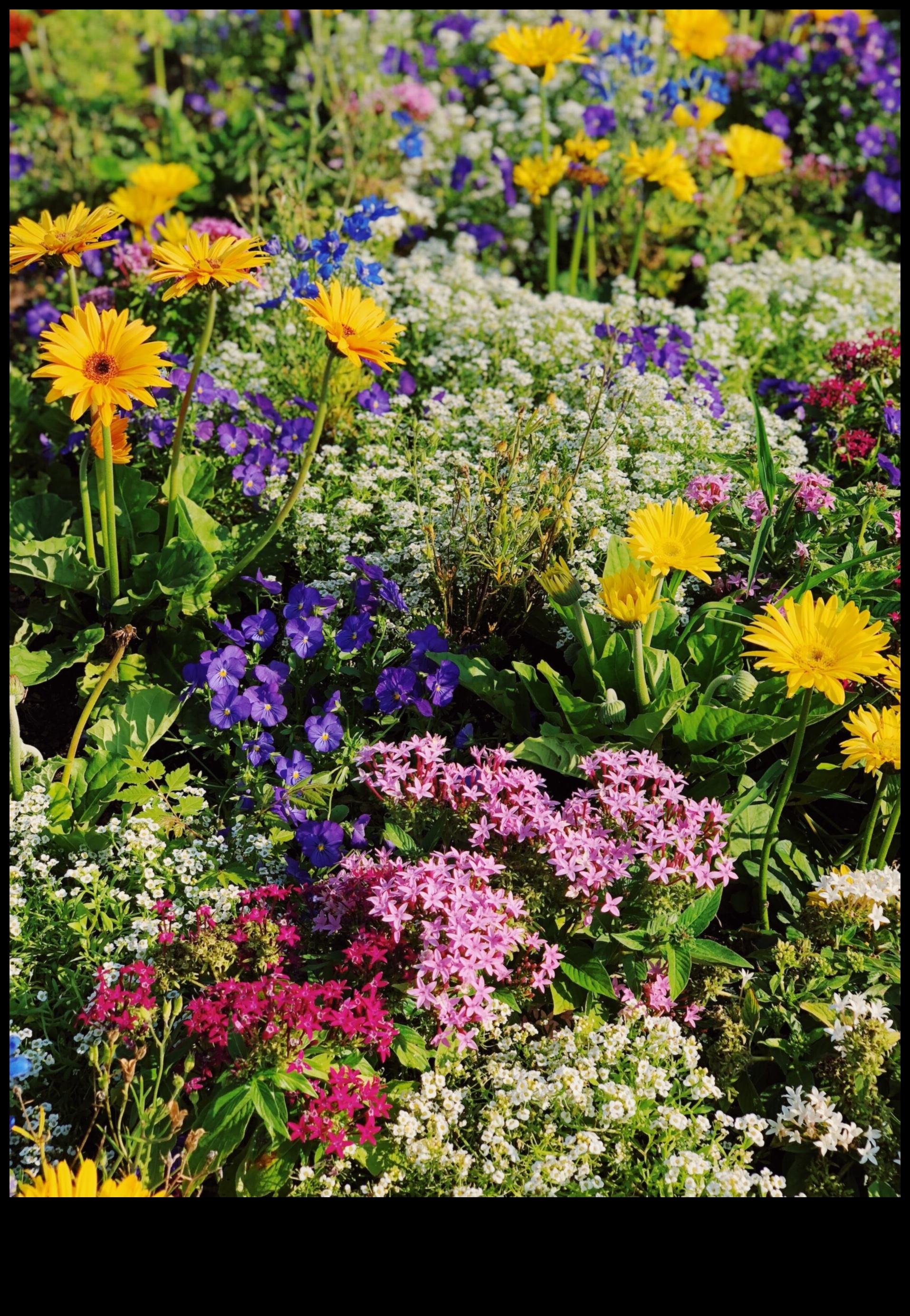 הרמוניה בגינה השגת יופי ויעילות בטיפול בגינה 4 הרמוניית גן: איזון בין יופי ויעילות בטיפול