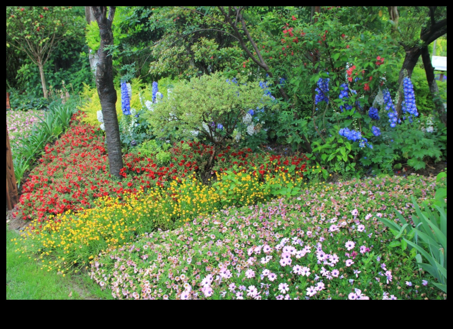 נופים שופעים מחכים: ציוד גן חיוני נחשף
