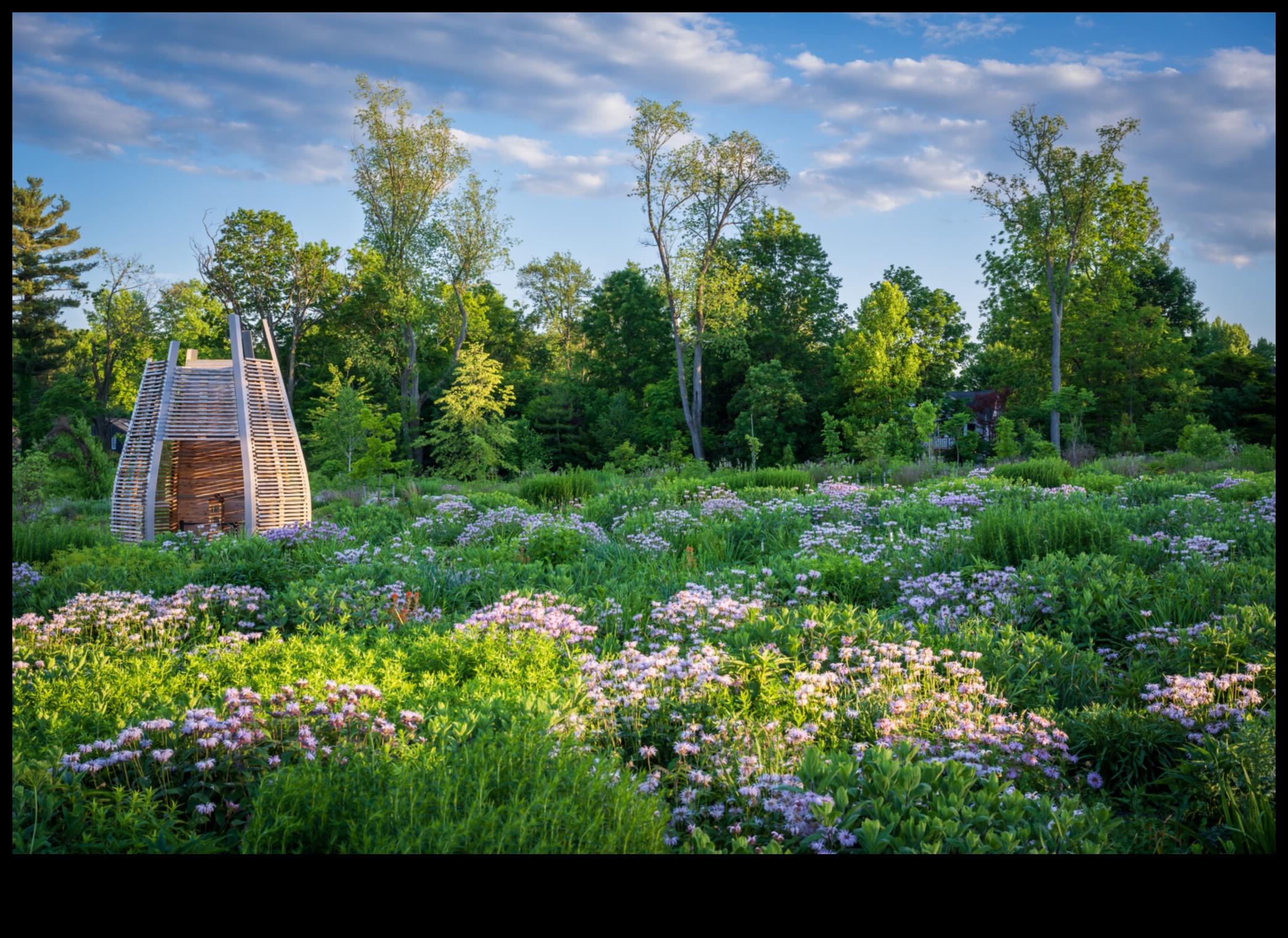 פריחה פרחונית: המדע שמאחורי תחזוקת גינה יעילה