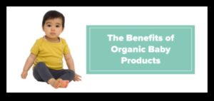 אודיות אורגניות: אימוץ את השפע של הטבע בתזונה של תינוק