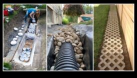 אלכימיה של גן: עשה זאת בעצמך טרנספורמטיבית לגן העדן המושלם לתמונה שלך