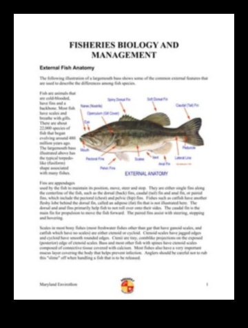 אנטומיית דגים 101: מבט מעמיק על המבנה של גופי דגים