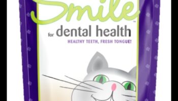 בריאות שיניים לחתולים: טיפים לחיוך שמח ובריא