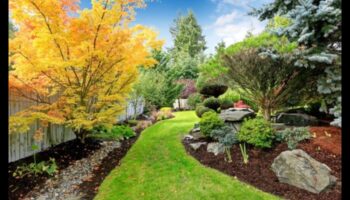 האלגנטיות של הטבע: שינוי חללים עם אומנות בגינה