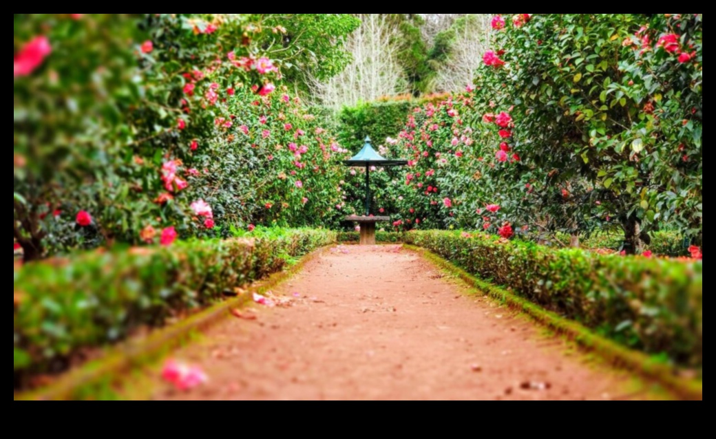 הרמוניה בגינה השגת יופי ויעילות בטיפול בגינה 1 הרמוניית גן: איזון בין יופי ויעילות בטיפול