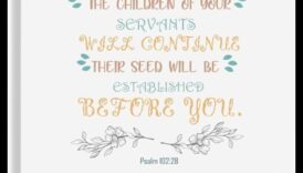 זרעים של פאר: הרם את המרחב שלך עם ציוד פרימיום