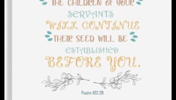 זרעים של פאר: הרם את המרחב שלך עם ציוד פרימיום