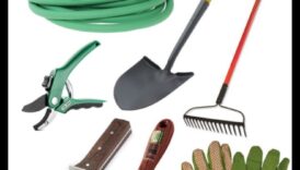 מושרשת ב-Radiance: כלי גינה חיוניים ל-Triumph