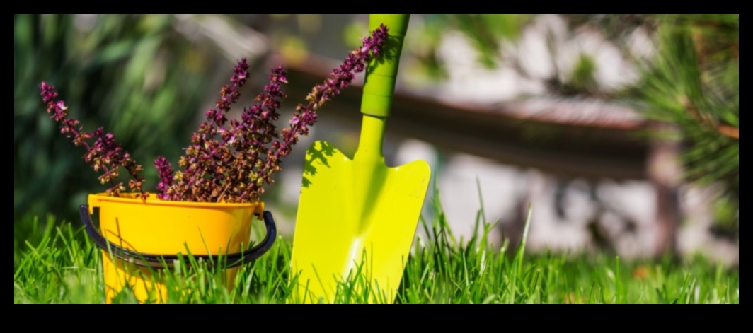 נופים שופעים מחכים: ציוד גן חיוני נחשף