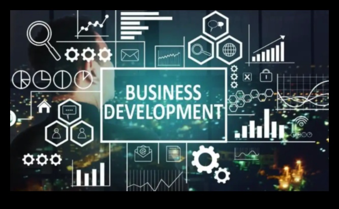 חדשנות משוחררת: הכוח של יוזמות פיתוח עסקי